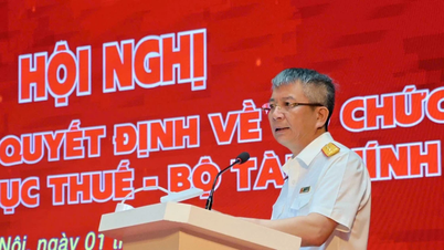 Trong thời gian chuyển đổi, bố trí người trực 24/7 để hỗ trợ người nộp thuế