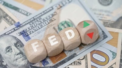 Foreign exchange rates, USD/VND exchange rate today July 2: USD has experienced the worst half year