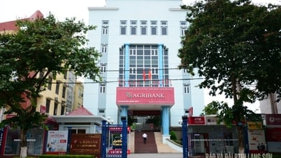 Филиал Agribank Lang Son меняет названия 16 филиалов и операционных офисов