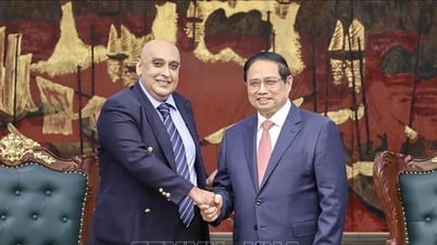 Le Premier ministre suggère au groupe Makara Capital Partners d'investir dans les secteurs prioritaires du Vietnam