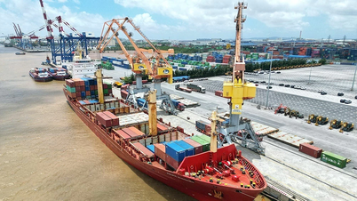Dong Nai has just exported nearly 16 billion USD.