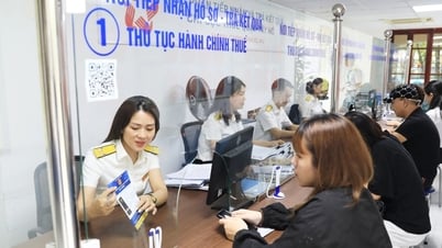 Bỏ thuế khoán: Dự kiến chia hộ, cá nhân kinh doanh thành...