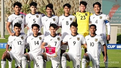 Gặp Brazil ở World Cup, U17 Indonesia "nhờ cậy" 9 cầu thủ nhập tịch