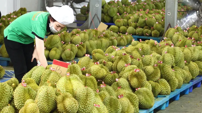 Tìm lối mở để nông sản Việt rộng đường xuất ngoại