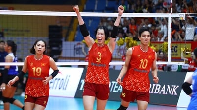 L'empreinte de l'équipe féminine de volley-ball du Vietnam : la sœur et la sœur sont toutes deux attirantes !