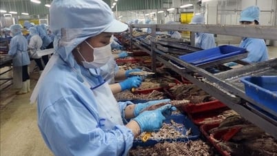 決議68号の実施から2か月後、市場に参入する企業の数は増加しました。