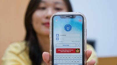 From July 1, update social insurance information on VssID, VNeID to avoid losing benefits.