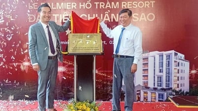 Le Palmier Ho Tram Resort는 국가 4성급 기준을 충족합니다.