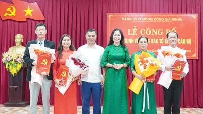동의아구, 조직 및 인사 업무 결정 발표