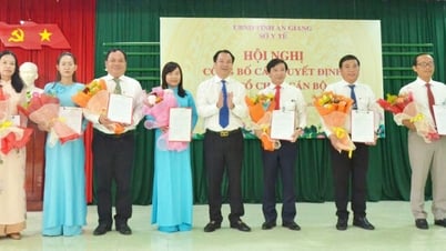 El Departamento de Salud de la provincia de An Giang designa a 29 líderes departamentales y sucursales