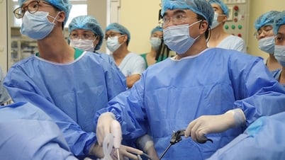 Transvaginal laparoscopic surgery for gynecological cancer