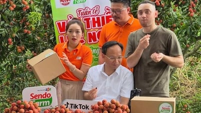 When provincial leaders livestream to sell fabric