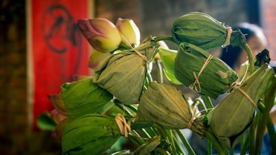 Lotus tea - A fragrant gift from Hanoi people