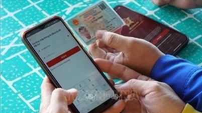 Как проверить новый постоянный адрес и родной город на VNeID с 1 июля 2025 г.