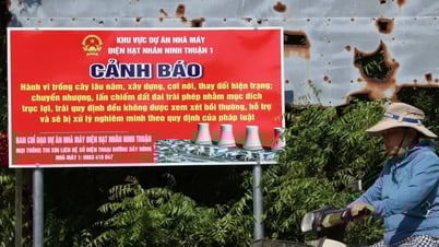 Hai làng ven biển Ninh Thuận sau nửa năm nghị quyết khởi động điện hạt nhân