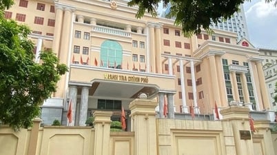 Deploying thematic inspection to combat waste in public asset management