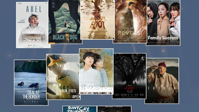 Danang Asian Film Festival honors outstanding cinematic works