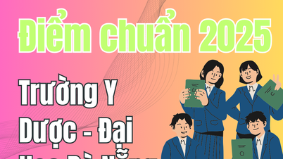 다낭대학교 의과대학 입학 점수 2025