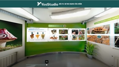 DISCOVER THE AMAZING WORLD OF MUSHROOMS THROUGH A VIRTUAL REALITY LEARNING SPACE