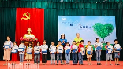 Organiza el programa "Viaje amo la vida"