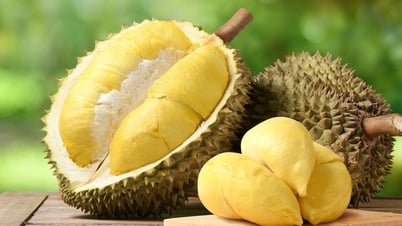 តម្លៃ​ទុរេន​ថ្ងៃ​នេះ​ថ្ងៃ​ទី​២ ខែ​កក្កដា៖ បន្ត​ធ្លាក់​ចុះ​ក្នុង​ភាគ​ច្រើន...