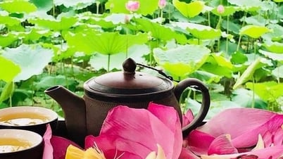 Trà sen Đồng Tháp, kết nối tâm giao