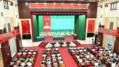 Kết quả kỳ họp thứ nhất HĐND TPHCM sau sắp xếp
