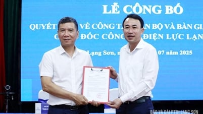 Annonce de la décision de transfert et de nomination du directeur de la société d'électricité de Lang Son