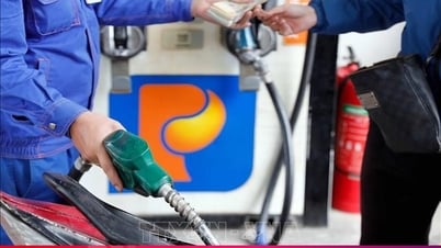 VPI تتوقع انخفاضًا حادًا في أسعار البنزين