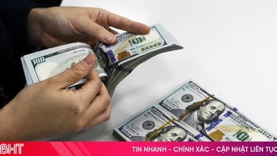Taux de change du dollar américain aujourd'hui (02/07/2025) : le dollar américain se redresse progressivement, tandis que le taux de change du « marché noir » chute brutalement.