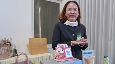 타이어 소금과 후추의 스타트업 프로젝트에 감명받았습니다.
