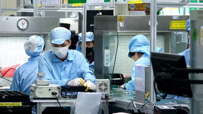 Kỳ vọng vào môi trường đầu tư kinh doanh thuận lợi sau hợp nhất