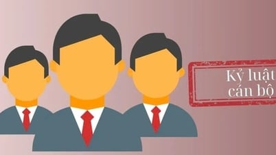 Nueva normativa sobre medidas disciplinarias contra funcionarios, servidores públicos y empleados públicos