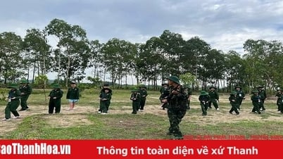 Muchas experiencias de modelos de campamentos de verano.