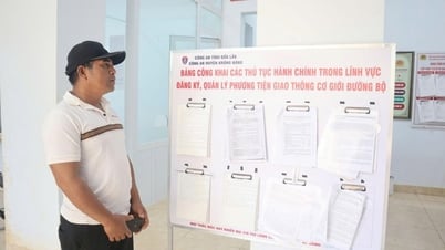 Dak Lak: 104 vehicle registration points after merger