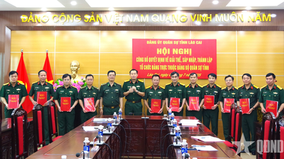 คณะกรรมการพรรคทหารจังหวัดลาวไกประกาศการตัดสินใจจัดตั้งองค์กรภาคประชาชนของพรรค