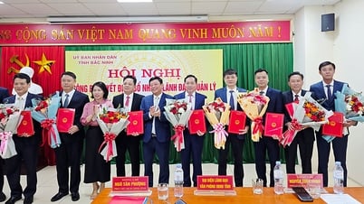 バクニン省文化スポーツ観光局の局長任命決定を発表