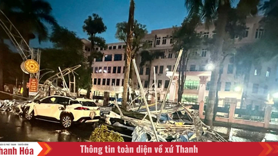 Dự báo bão số 3 Wipha rất nguy hiểm