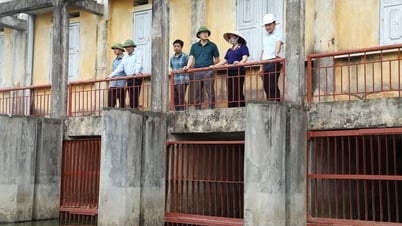 Bảo vệ lúa mùa mới cấy, rau màu
