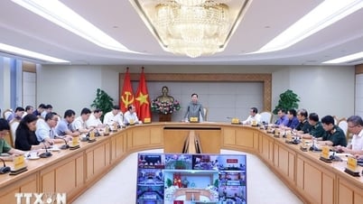 Rà soát toàn diện, sẵn sàng bảo vệ dân trước bão số 3