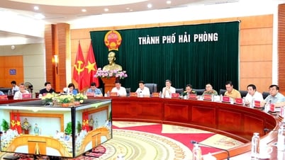Hành động khẩn cấp để ứng phó hiệu quả bão số 3