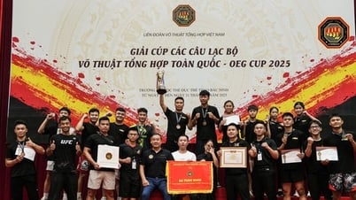 Thái Nguyên, Hưng Yên dẫn đầu giải Cúp các câu lạc bộ Võ thuật tổng hợp toàn quốc 2025