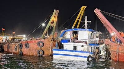 Hơn 320 người đang tham gia cứu nạn tàu du lịch Vịnh Xanh