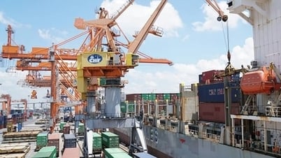 Các tổ chức quốc tế dự báo triển vọng thương mại toàn cầu ảm đạm