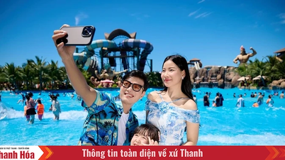 Sun World Sam Son áp dụng đồng giá vé 250.000 VNĐ cho người lớn và trẻ em toàn quốc