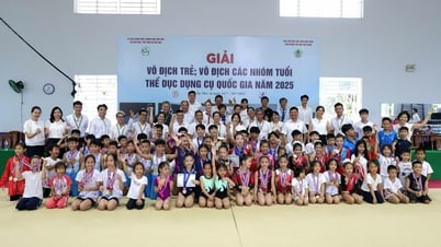 Khép lại giải vô địch các nhóm tuổi thể dục dụng cụ quốc gia 2025: TP.HCM nhất toàn đoàn