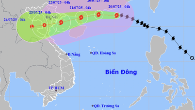 Bão Wipha tăng lên cấp 11 giật cấp 14, hướng vào Quảng Ninh - Ninh Bình