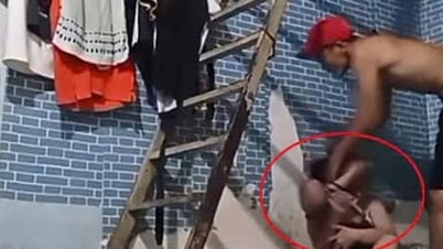 Des carpes chinoises diffusent en direct des images d'une fillette tenant un petit enfant à Ho Chi Minh-Ville