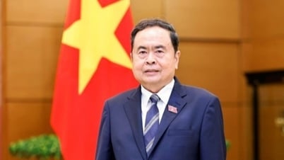 Positive und substanzielle Beiträge Vietnams und der vietnamesischen Nationalversammlung zur Lösung globaler Probleme