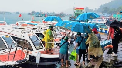 Ảnh hưởng bão số 3, tour ca nô ở Phú Quốc không được đưa khách đến nơi có sóng lớn, nguy hiểm